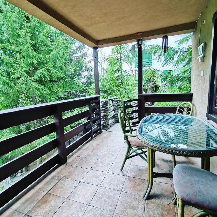 Cabana Brazilor Campina Exterior photo